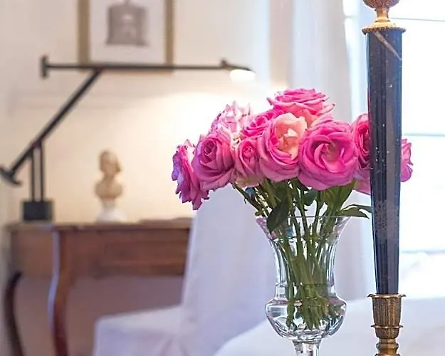 Dirazi & Gmbh Appart hôtel